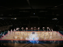 img_2014rhythmic_gymnastics01.jpg